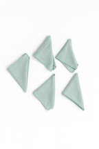 Mint Müslin Ağız Silme Mendili 5'li - %100 Pamuk